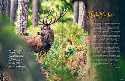 MÜNSTERLAND Magazin 3/2022 - Bild 4