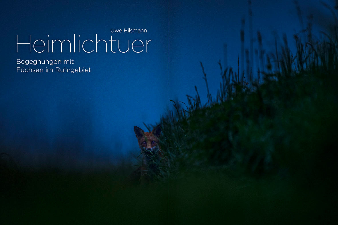 NaturFoto 12/2022 - Bild 2