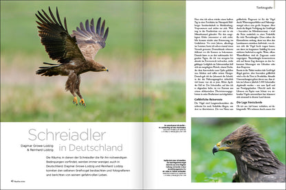 NaturFoto 8/2023 - Bild 7