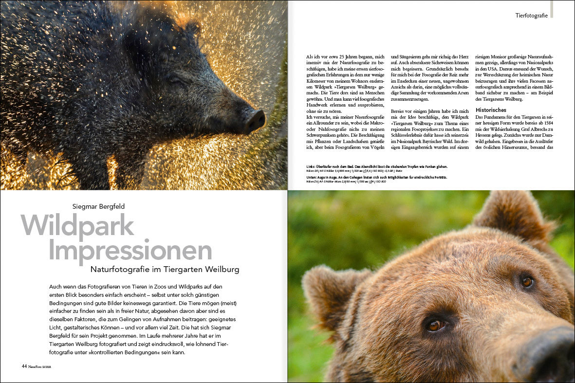 NaturFoto 12/2021 - Bild 6