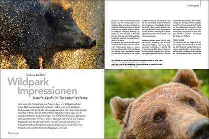 NaturFoto 12/2021 - Bild 6