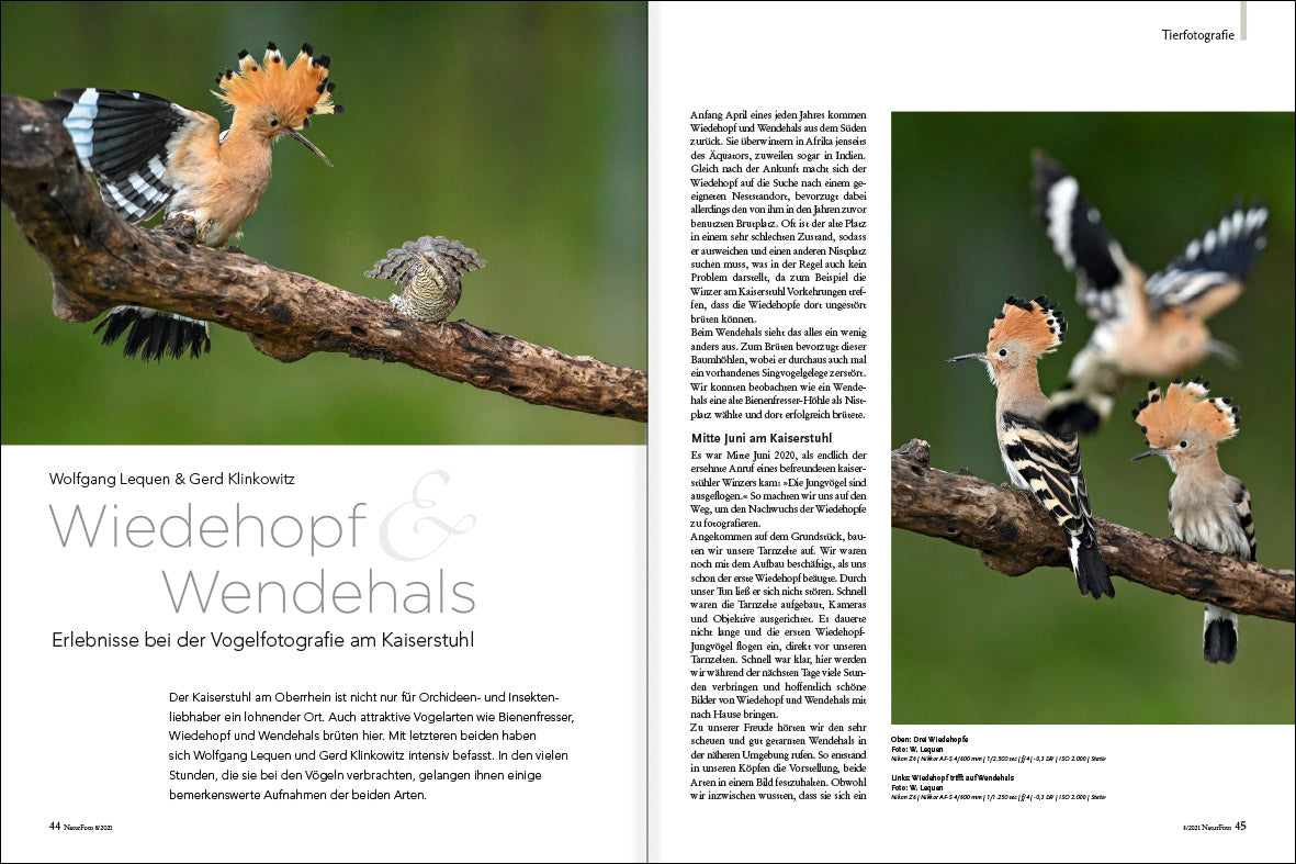 NaturFoto 8/2021 - Bild 6