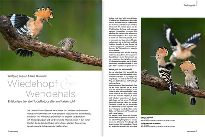 NaturFoto 8/2021 - Bild 6