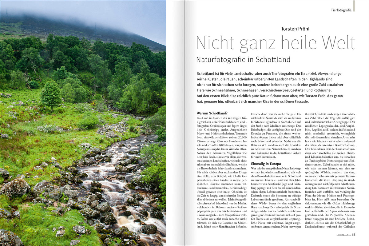 NaturFoto 3/2023 - Bild 5