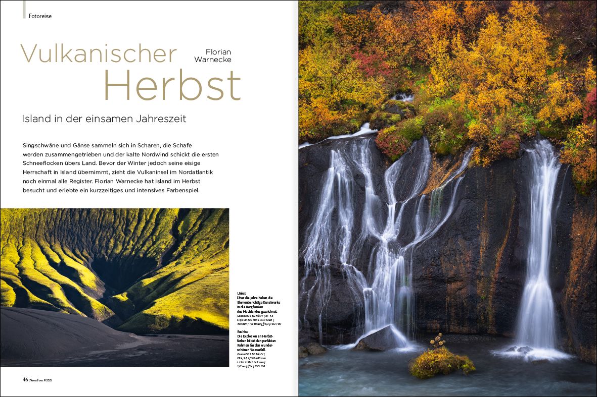 NaturFoto 9/2021 - Bild 5
