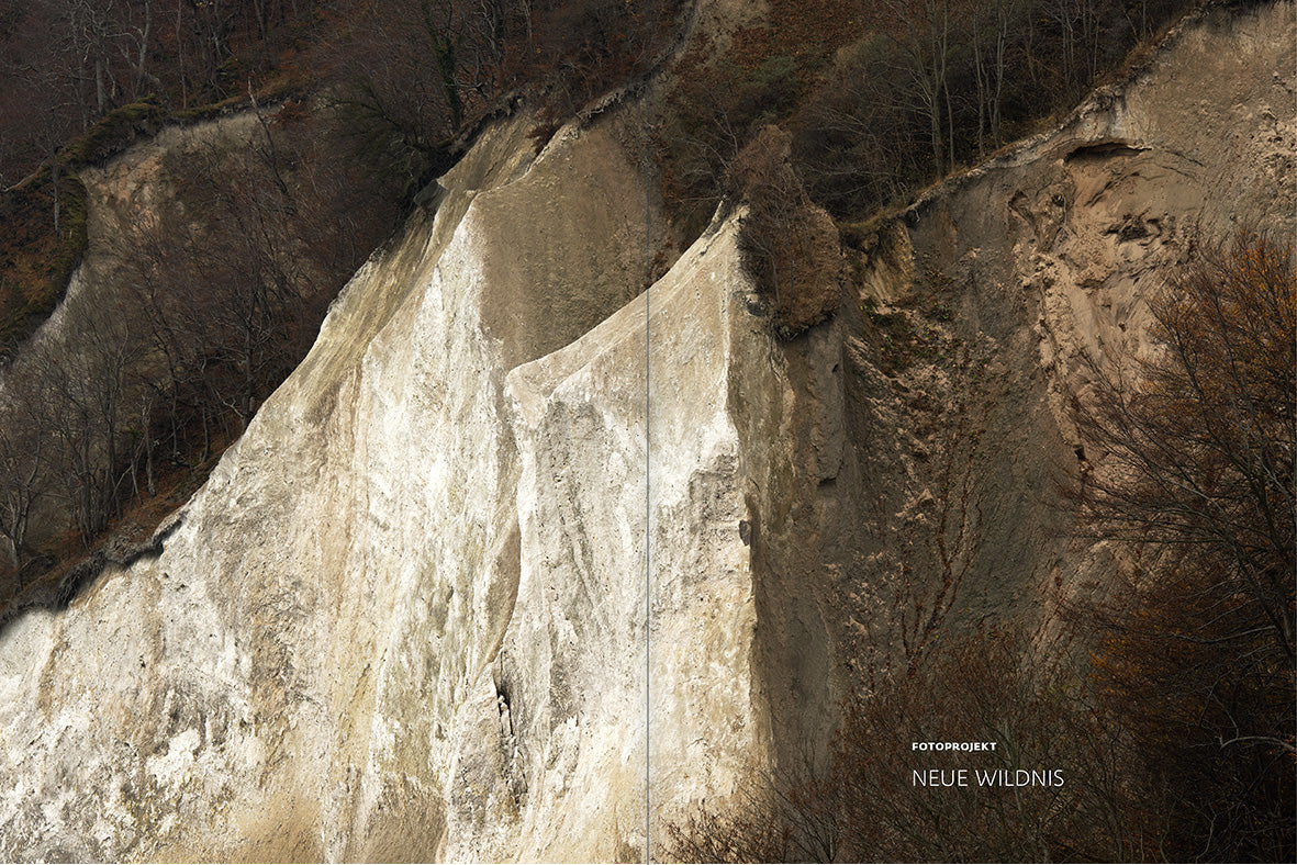 forum naturfotografie 4/2020 - Bild 3