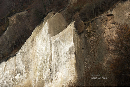 forum naturfotografie 4/2020 - Bild 3