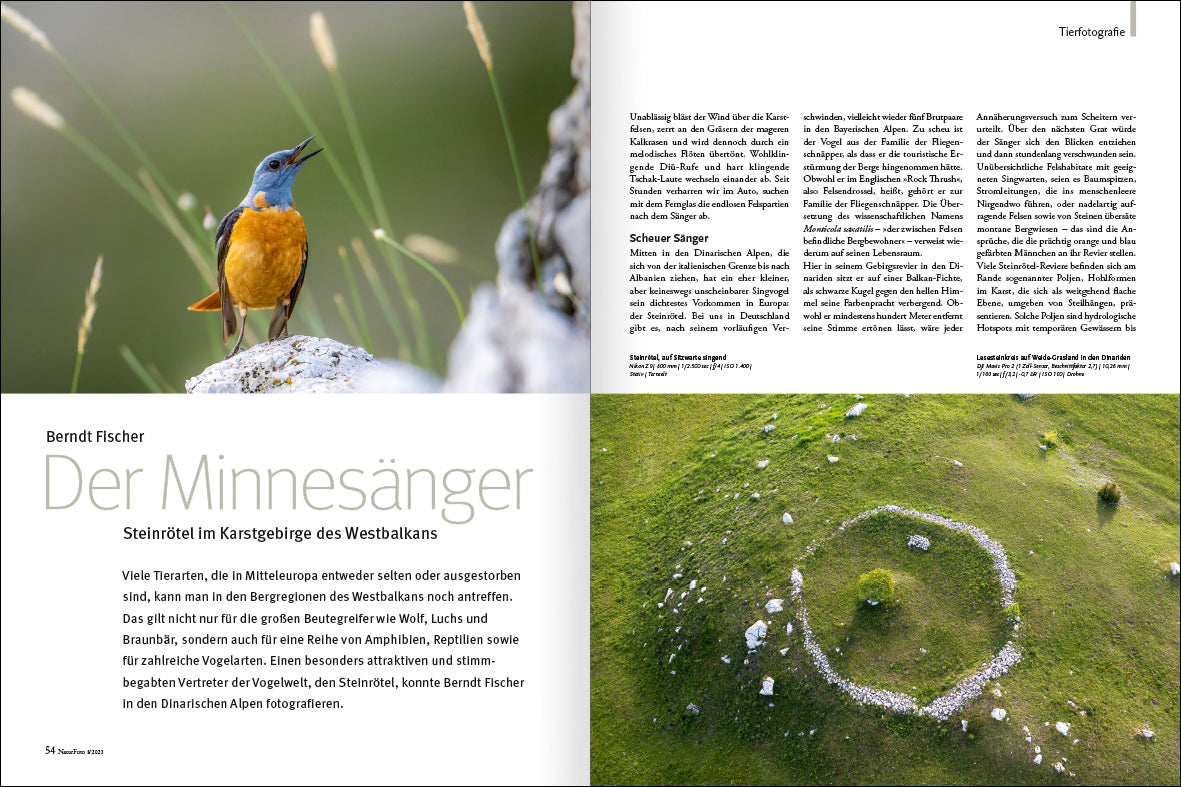 NaturFoto 8/2023 - Bild 5
