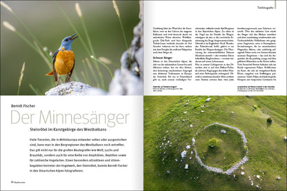 NaturFoto 8/2023 - Bild 5