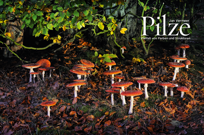 NaturFoto 9/2021 - Bild 4