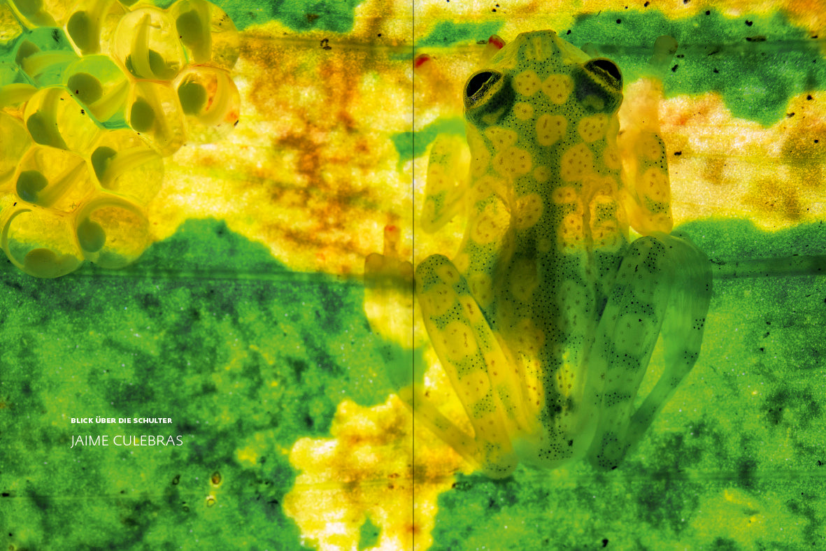 forum naturfotografie 2/2021 - Bild 2