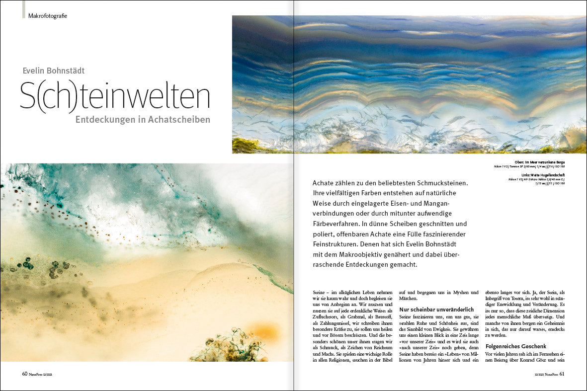 NaturFoto 12/2021 - Bild 3
