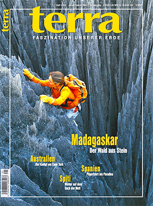 terra 1/2010