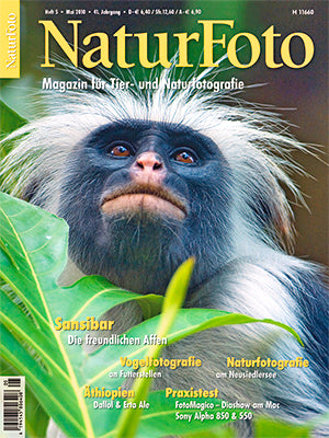 NaturFoto 5/2010