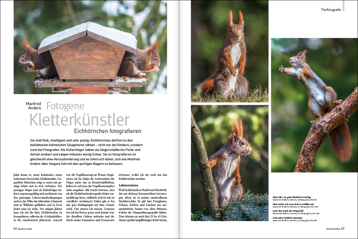 NaturFoto 10/2021 - Bild 8