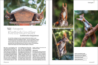 NaturFoto 10/2021 - Bild 8