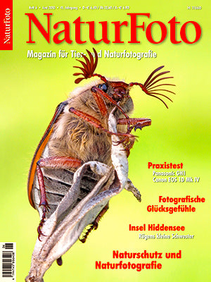 NaturFoto 6/2010