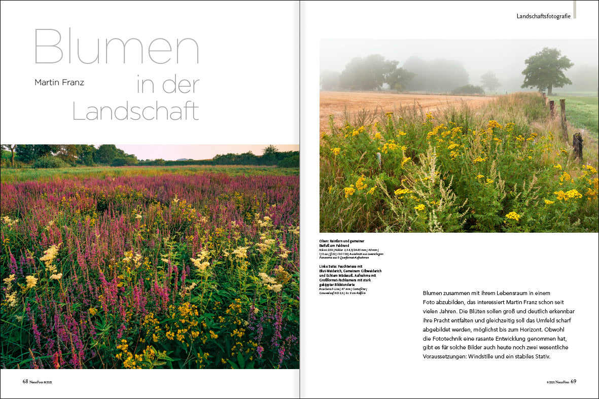 NaturFoto 8/2021 - Bild 4