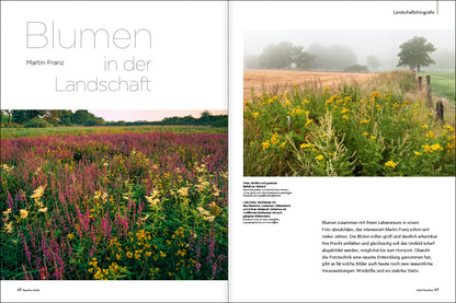 NaturFoto 8/2021 - Bild 4