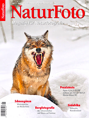 NaturFoto 1/2011