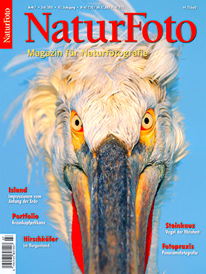 NaturFoto 7/2011