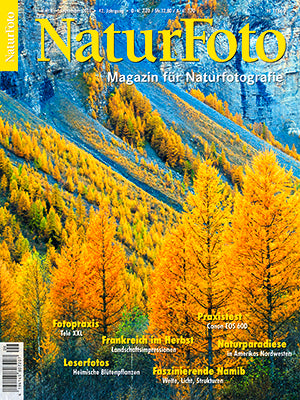 NaturFoto 9/2011