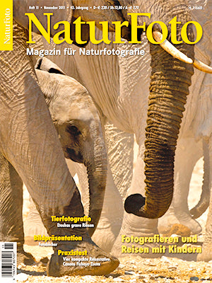 NaturFoto 11/2011