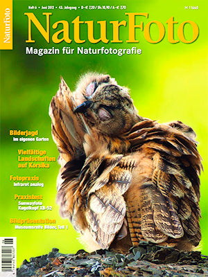 NaturFoto 6/2012