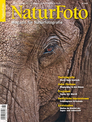 NaturFoto 11/2012