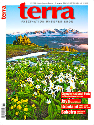 terra 4/2012