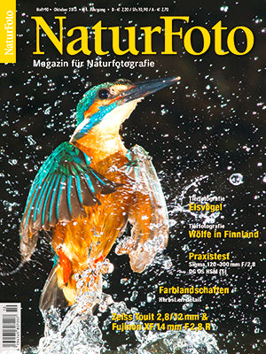 NaturFoto 10/2013