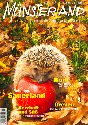 MÜNSTERLAND Magazin 3/2013