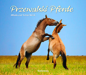 Przewalski Pferde