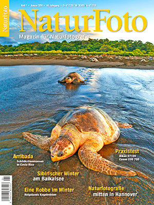 NaturFoto 1/2014