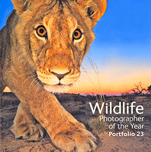 Portfolio 23