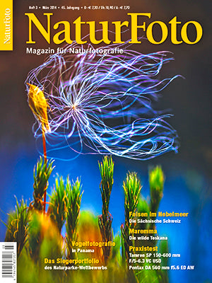 NaturFoto 3/2014