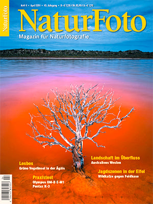 NaturFoto 4/2014