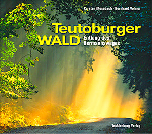 Teutoburger Wald