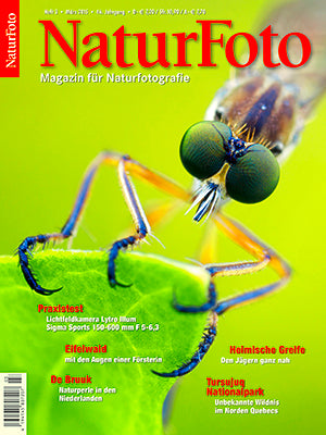 NaturFoto 3/2015