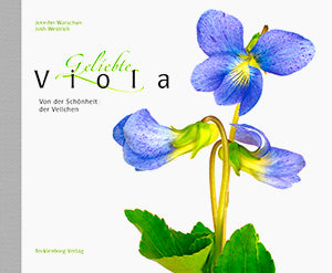 Geliebte Viola