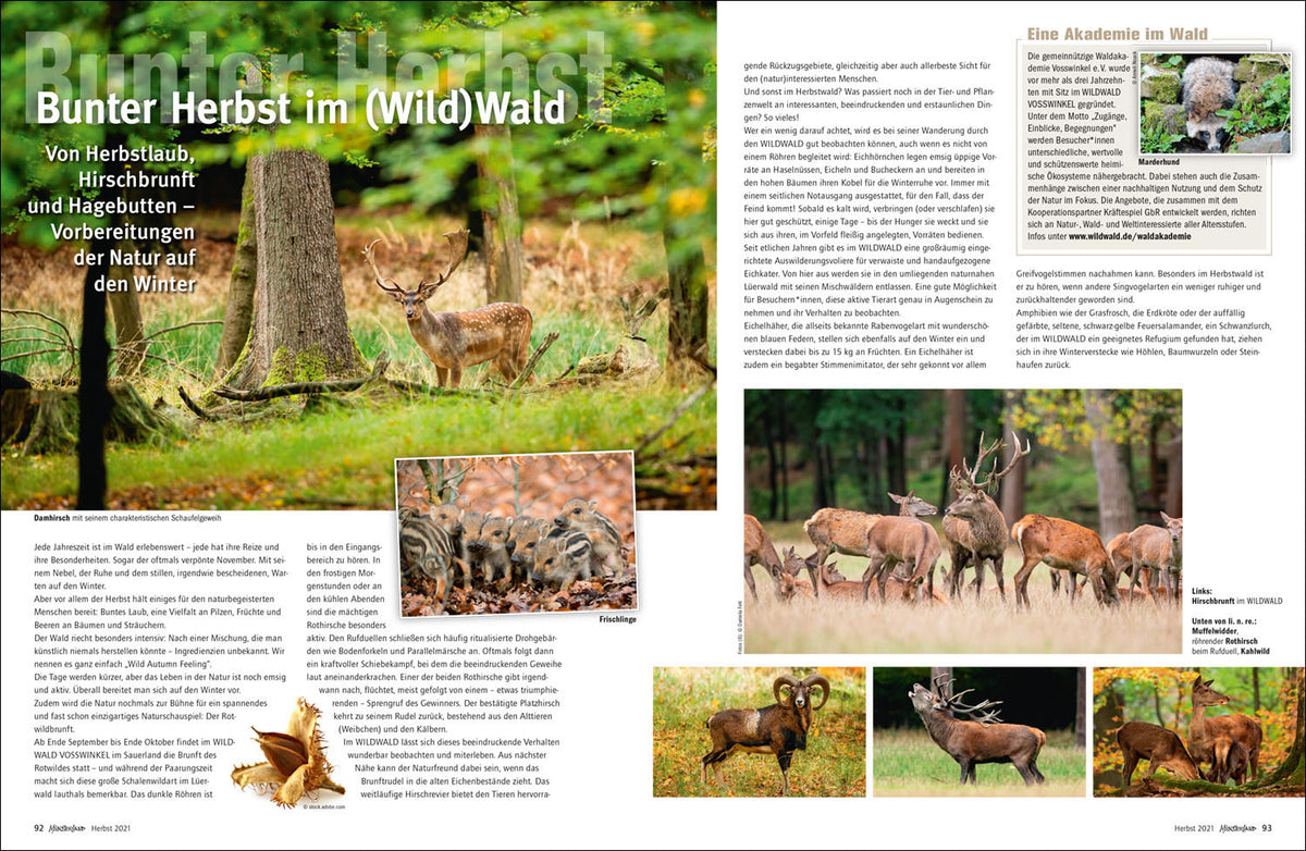 MÜNSTERLAND Magazin 3/2021 - Bild 5