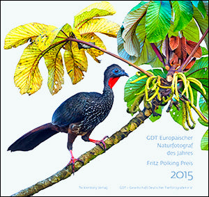 Europäischer Naturfotograf des Jahres 2015