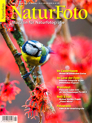 NaturFoto 2/2016