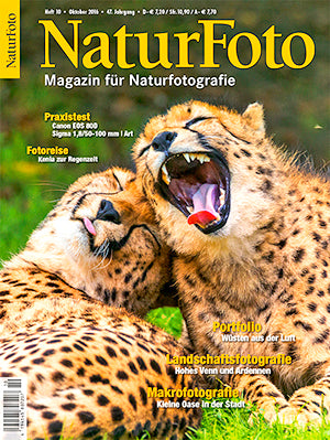 NaturFoto 10/2016