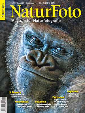 NaturFoto 1/2017