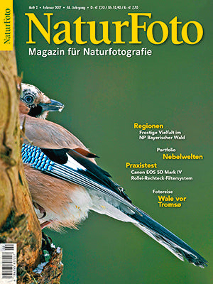 NaturFoto 2/2017