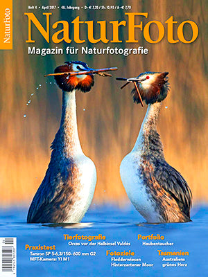 NaturFoto 4/2017