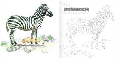 Afrikas faszinierende Tierwelt - Bild 4