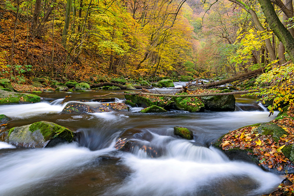 Deutschlands Natur - Bild 4