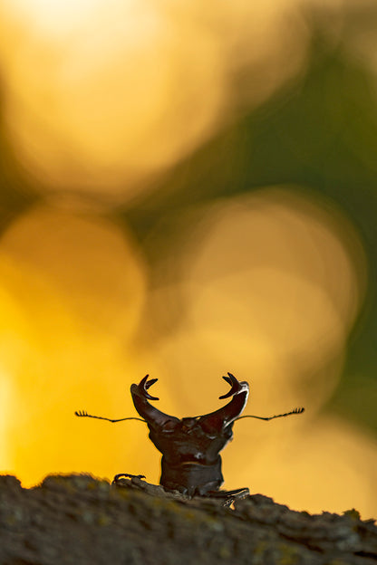 Deutschlands Natur - Bild 2